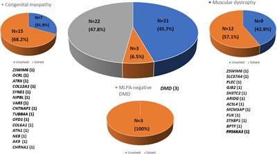 Application of whole exome sequencing in the diagnosis of muscular disorders: a study of Taiwanese pediatric patients